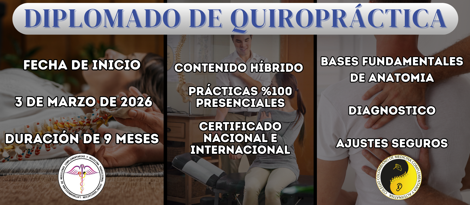 QUIROPRACTICA CLINICA